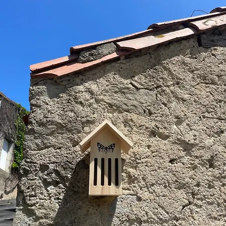 Idyllic With Private Pool * Laure-Minervois